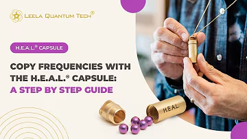 LEELA QUANTUM Company Values